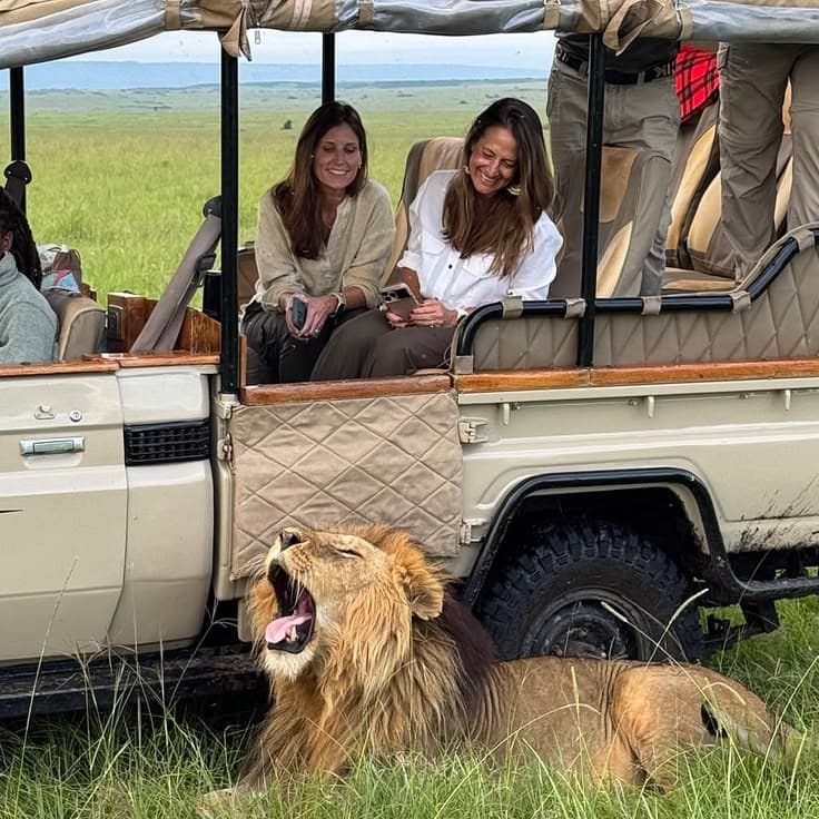 Close wildlife encounter beside an open safari vehicle